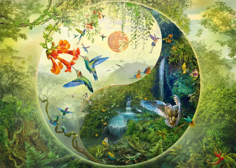 Yin & Yang - Dans la Forêt des Colibris