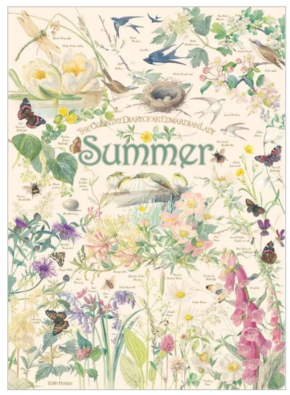 Country Diary: Summer