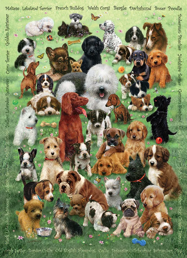 Family - Chiots