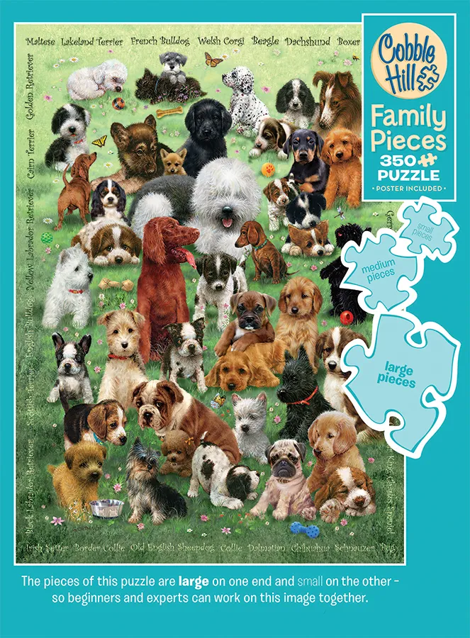 Family - Chiots