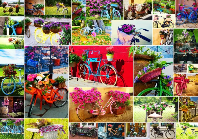 Collage - Vélos
