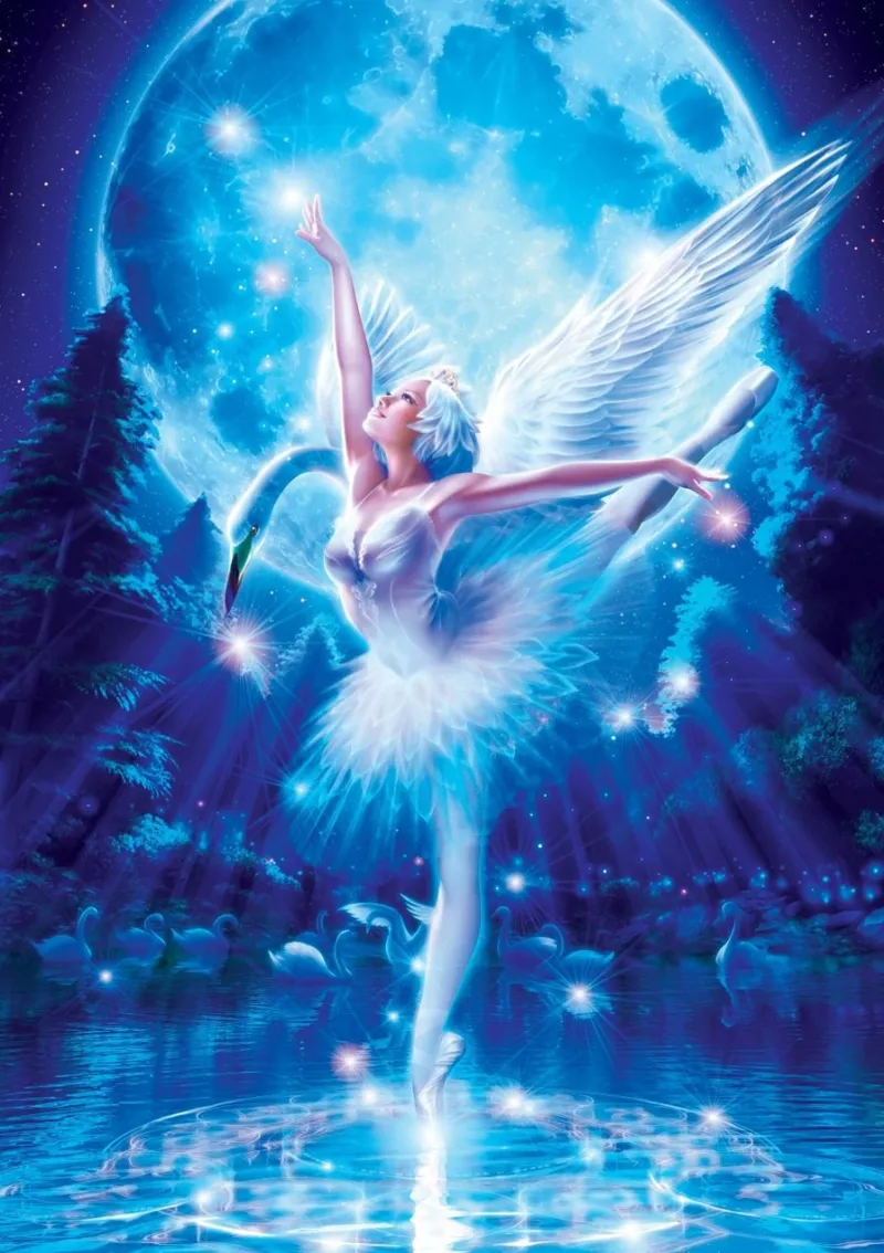 Ballet du Lac des Cygnes
