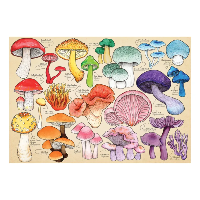 La Manie Des Champignons