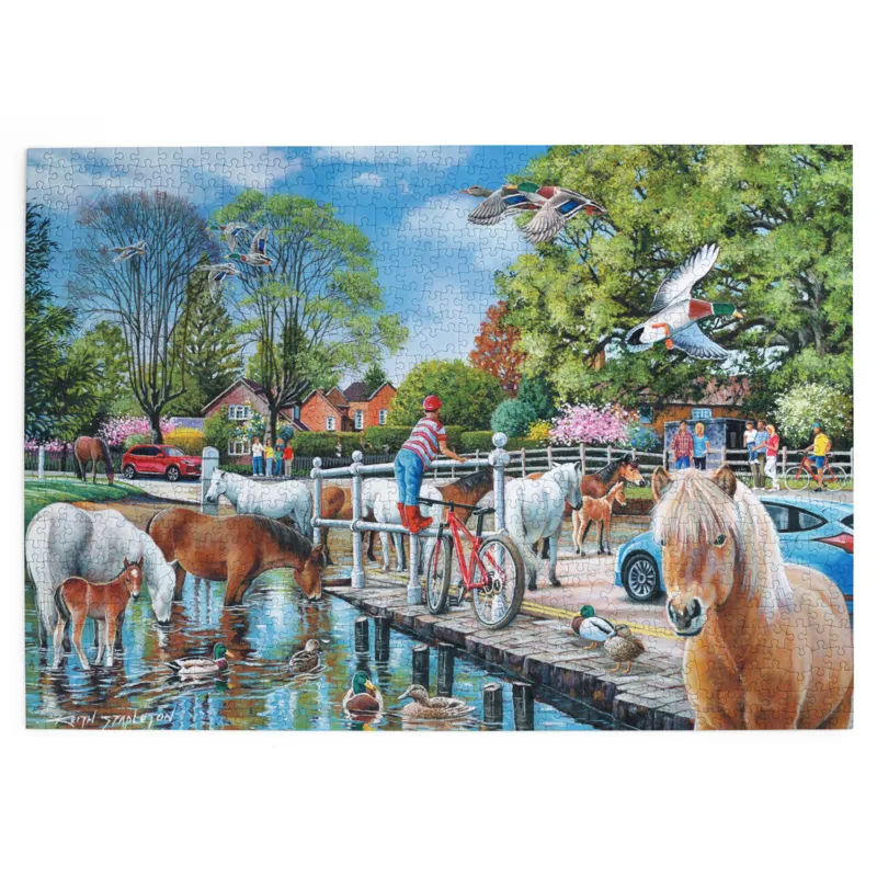 Les Poneys de New Forest