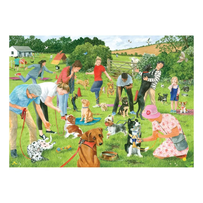 Puppy School
