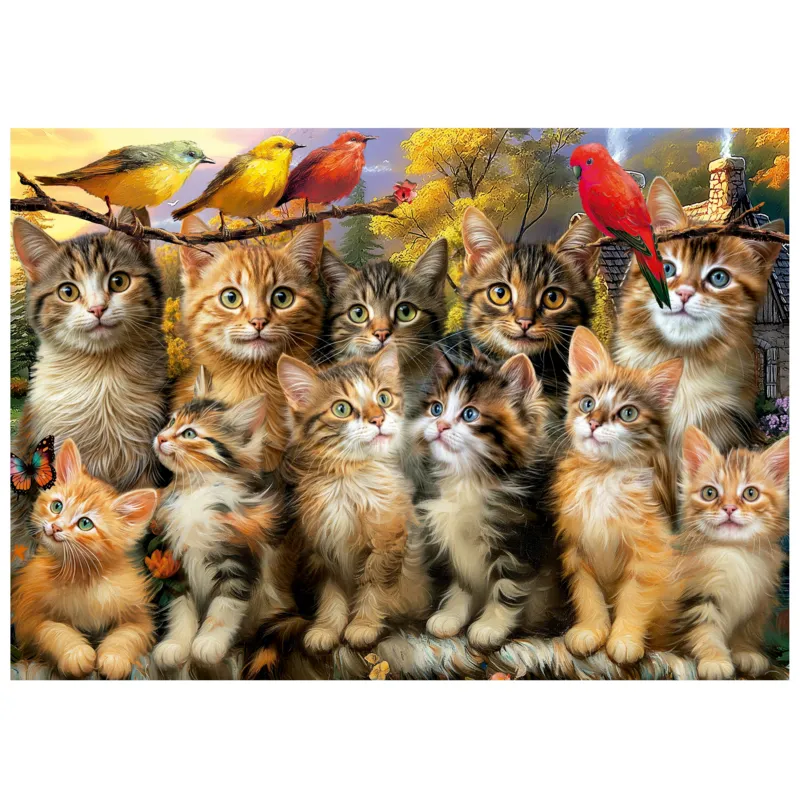 Chatons et Oiseaux