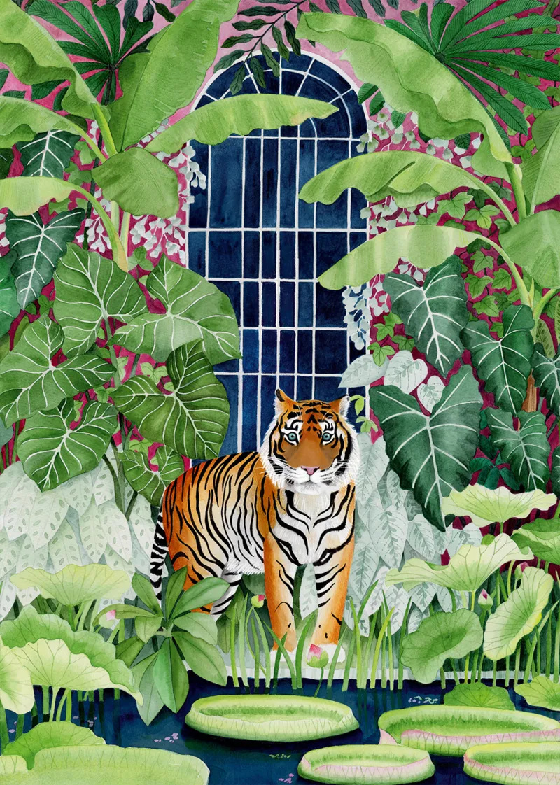 Tigre des Serres