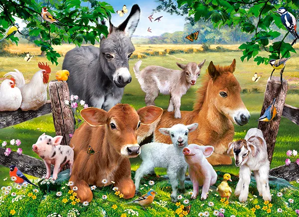 A la Ferme