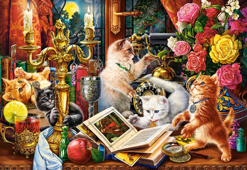 Chats Sorciers