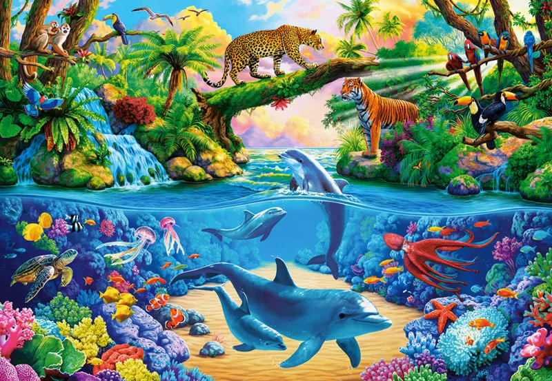 Nature Sauvage