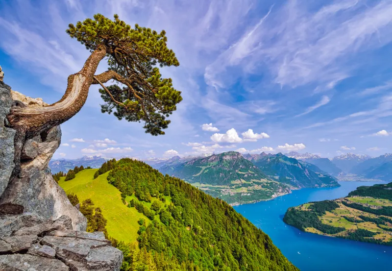 Vue du Lac d'Uri, Suisse