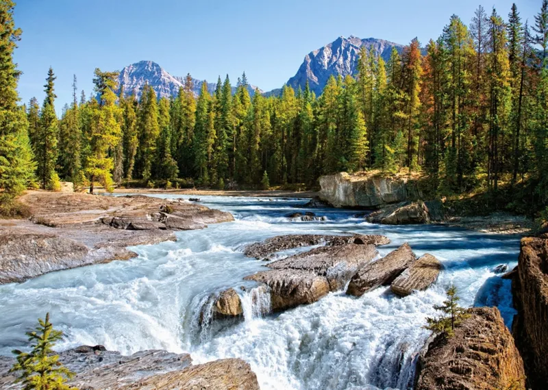 Canada, Parc National de Jasper : Rivière Athabasca