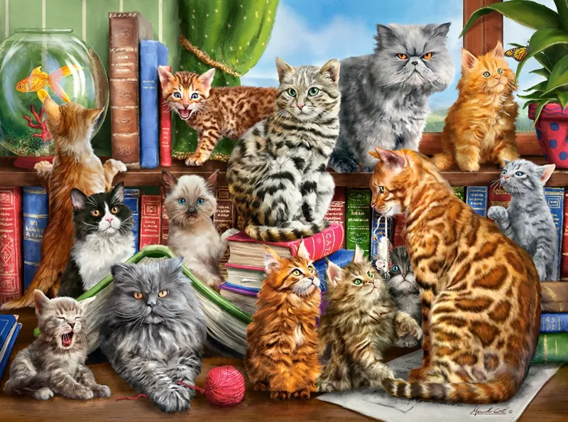 Maison des Chats