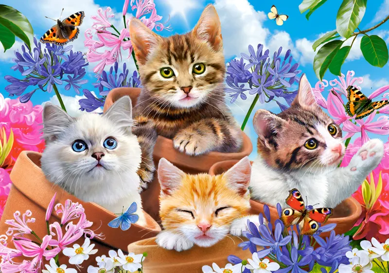 Chats avec Fleurs