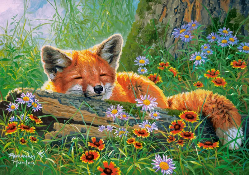 Rêves de Renard
