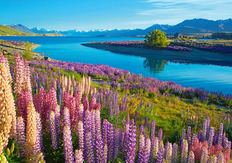 Lac Tekapo, Nouvelle-Zélande