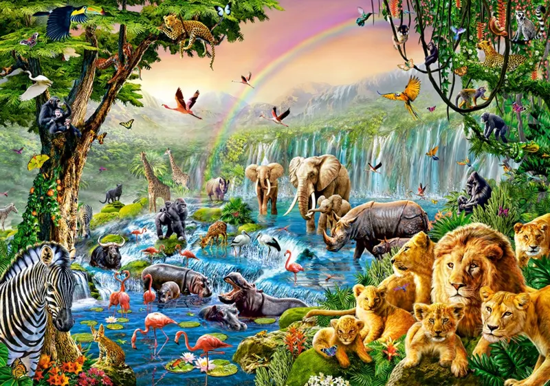 Rivière de la Jungle