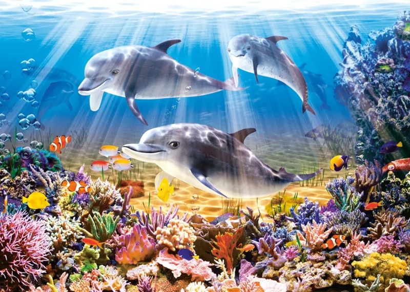 Le Monde des Dauphins