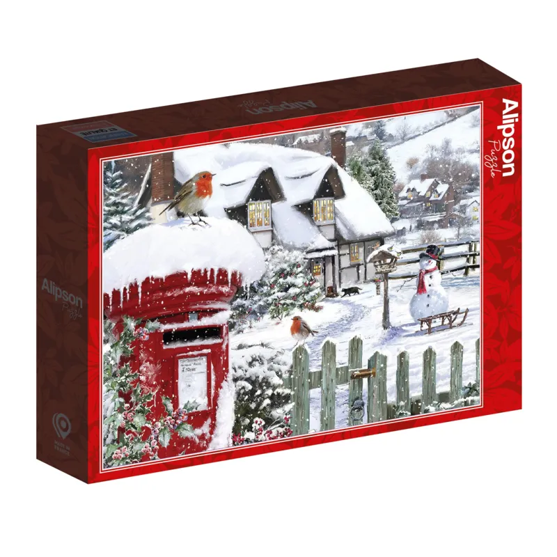 Rouge-Gorge dans la Neige