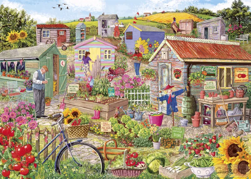 Life on the Allotment