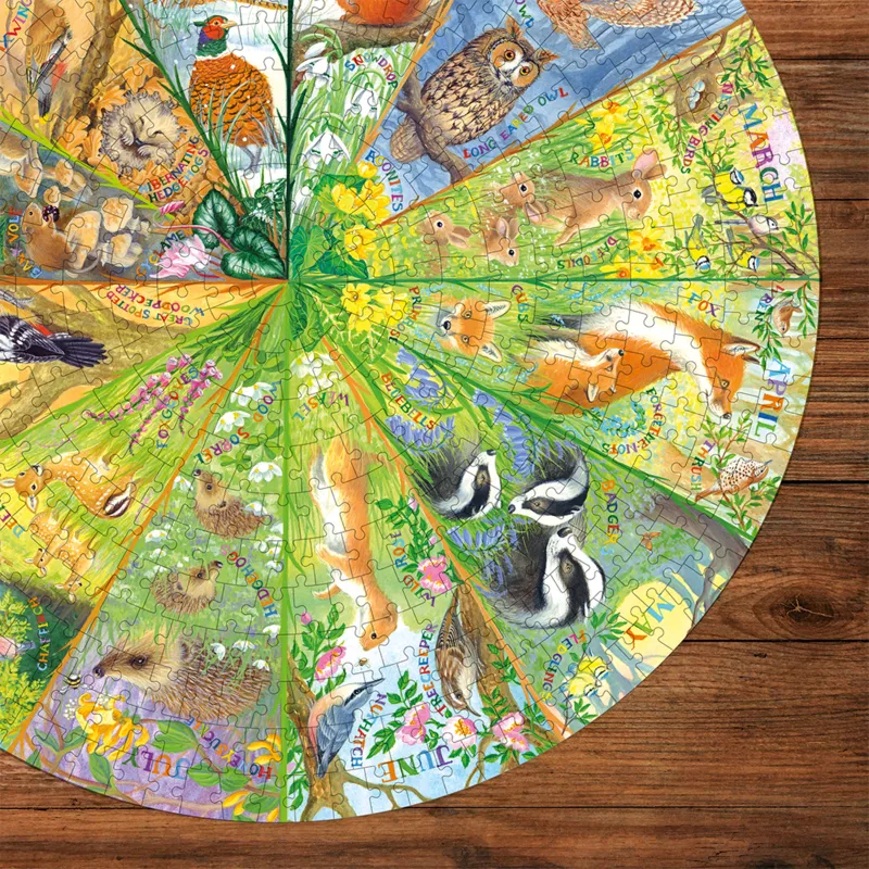 National Trust: A Year in the Forest (500 CIRCULAR)
