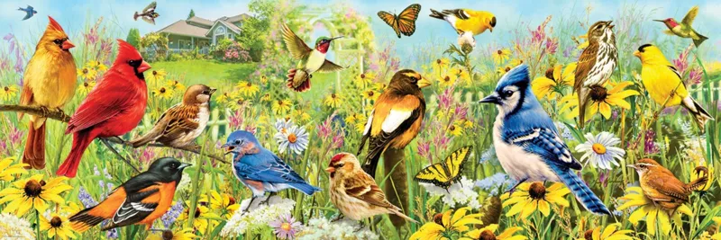 Oiseaux de Jardin
