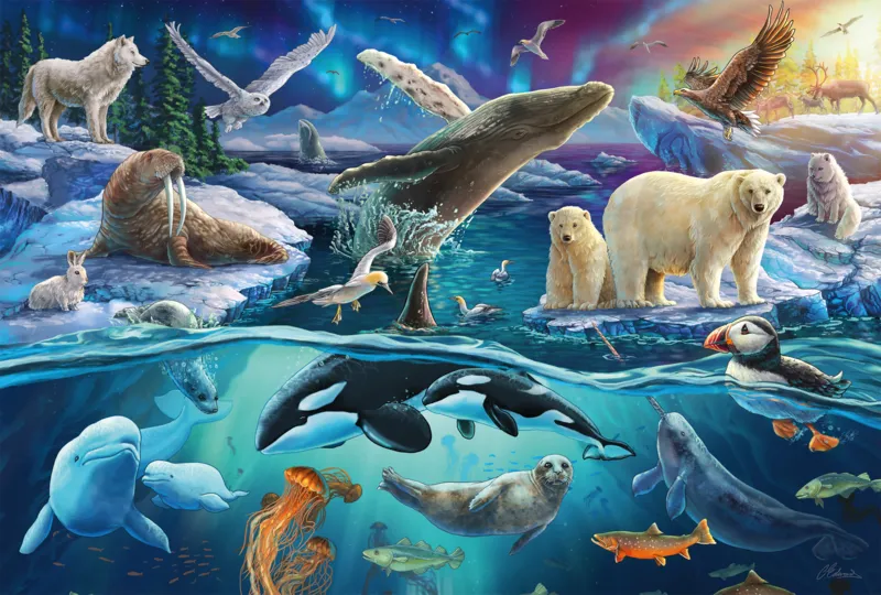 Les Animaux du Grand Nord