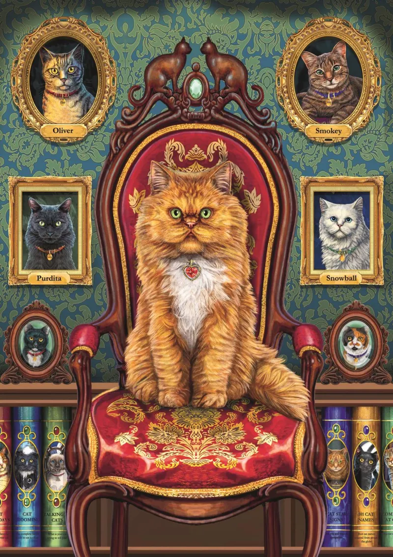 Collection Magique : Fou De Chats