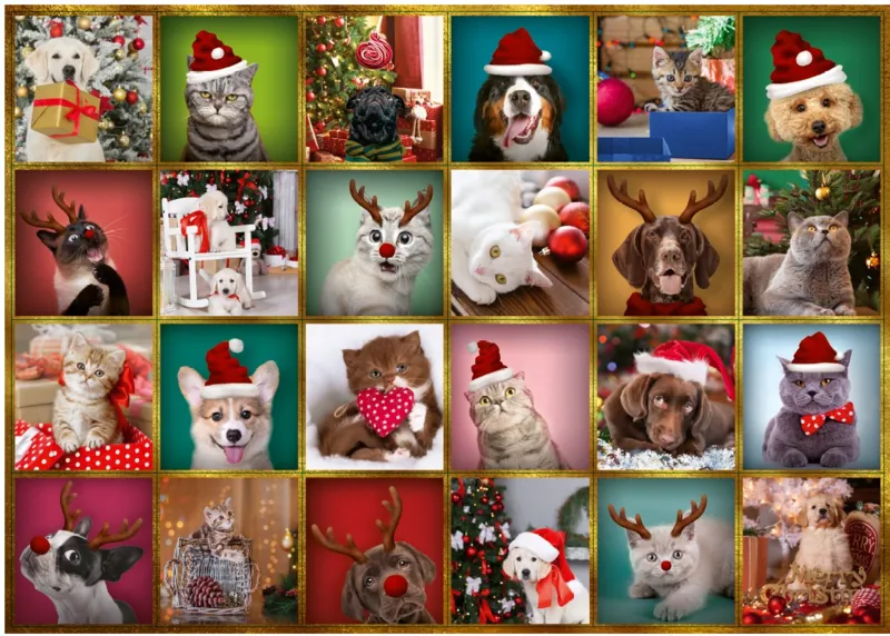 Calendrier De L'Avent Animaux
