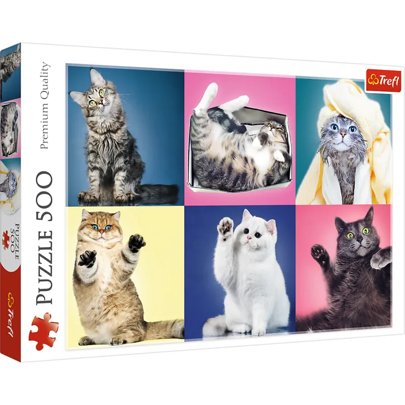 Chatons
