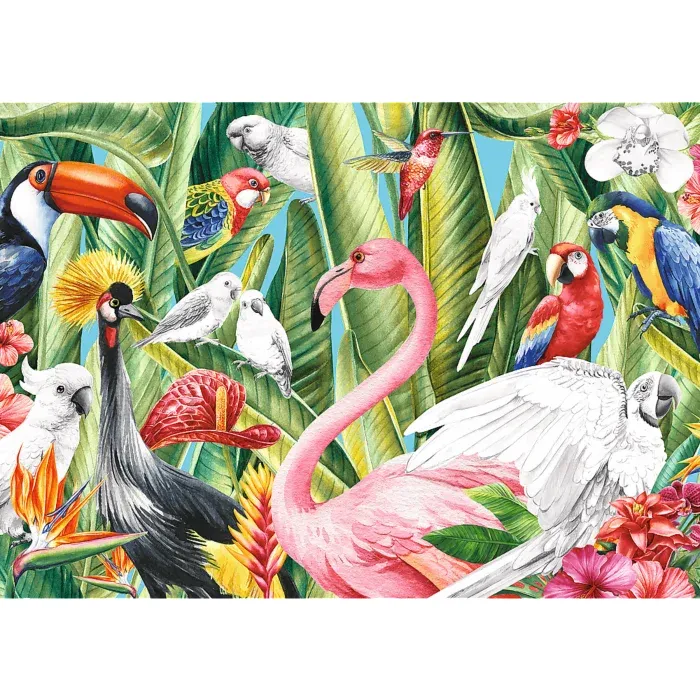 Puzzle Creative - Oiseaux Du Paradis