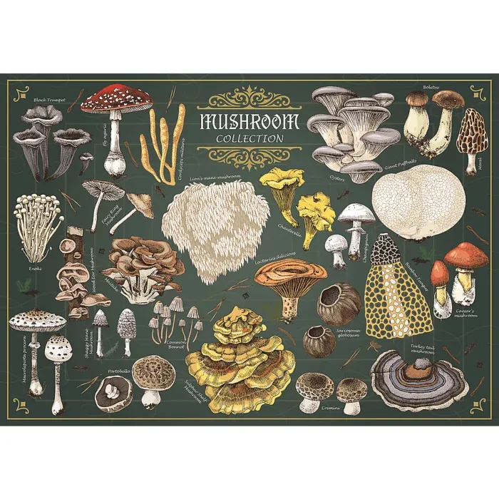 Finders Keepers - Collection de Champignons
