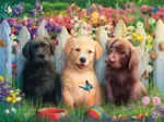 Adorable Scène de Chiots