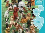 Family - Chiots