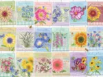 Sachets de Graines