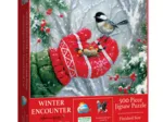 Rencontre Hivernale