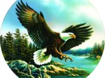 L'Atterrissage de l'Aigle