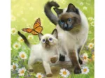 3 Puzzles - Famille