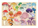 La Manie Des Champignons