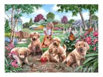 Pièces XXL - Chiots Boueux
