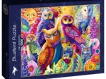 Owl Autonomy
