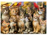 Chatons et Oiseaux