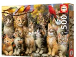 Chatons et Oiseaux