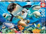 Selfie sous la Mer