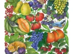 Les Fruits D'Eté