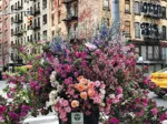Relax - Flowers in New York