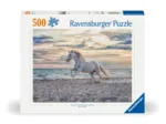 Cheval sur la Plage