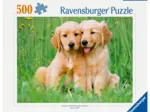 Les Frères Golden Retriever