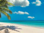 Se Balancer Par L'Ocean