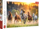 Chevaux Sauvages